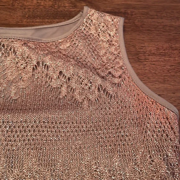 Dressbarn lace overlay dress - Picture 12 of 13